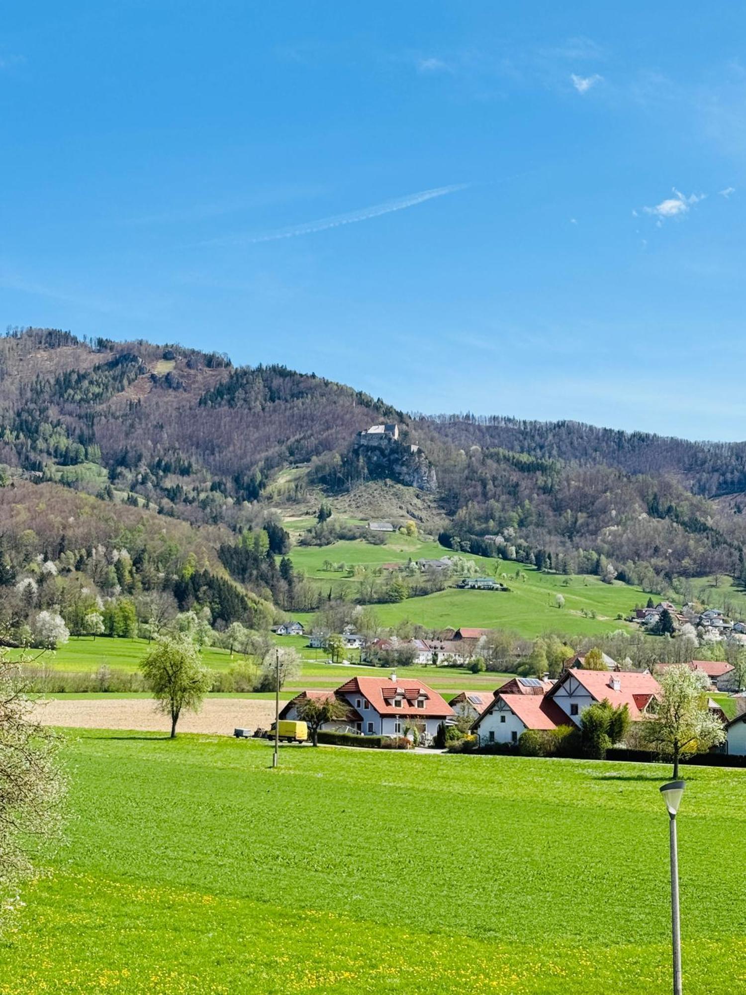 Apartment Zentrale Mit Blick Auf Burg Altpernstein *